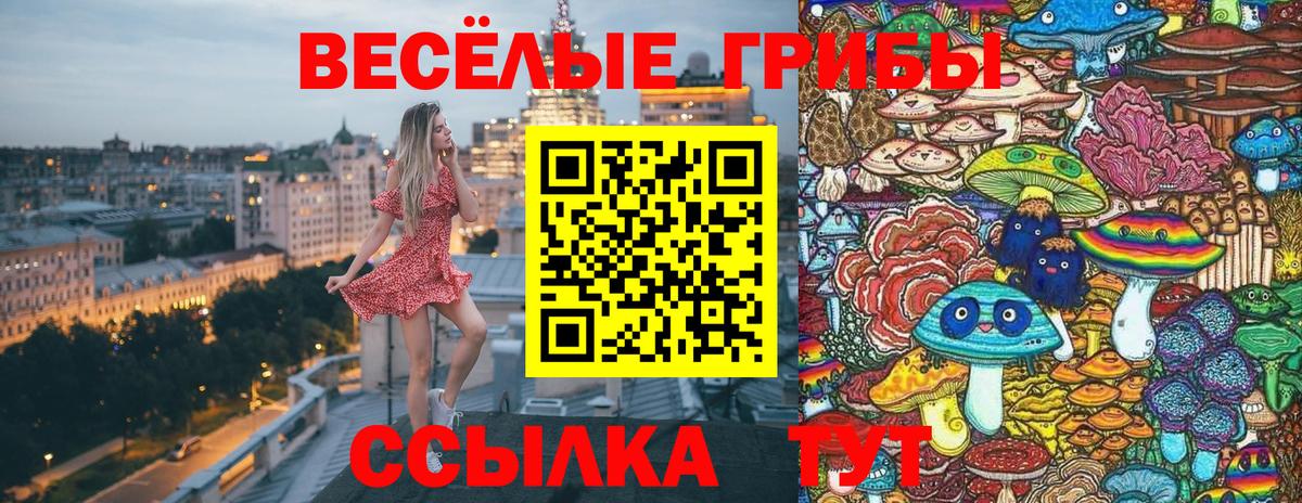 Галлюциногенные грибы мухоморы  Вход с VPN  Избербаш 